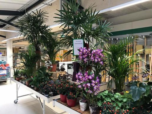 picture of Landi Veyrier