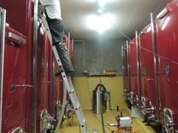 Bild zu Cave à la Cornalle