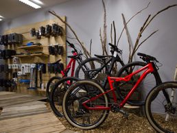 immagine di La Bicycletterie Suisse Sàrl