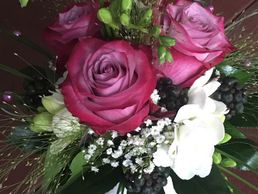 Bild zu Au Fil des saisons