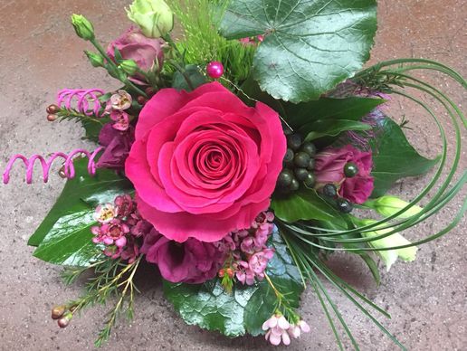 Bild zu Au Fil des saisons