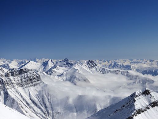 immagine di Business Transaction AG