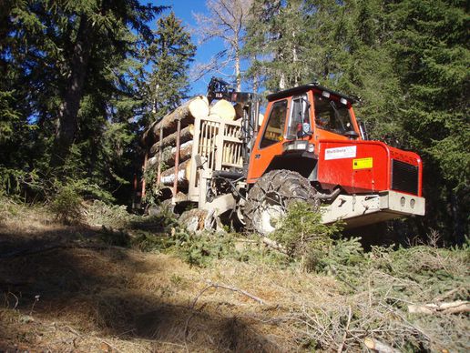 immagine di Multibois Sàrl