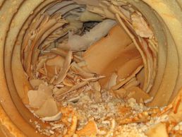 Bild zu Détartrage Services SA