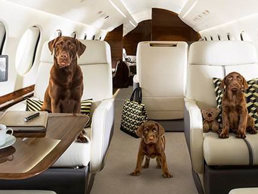 image de LunaJets SA