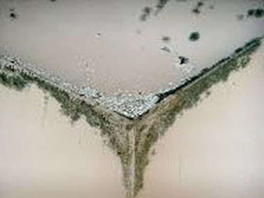 picture of AST Kopp AG - Asbest- & Sanierungstechnik