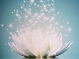 picture of Meditations Raum