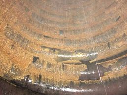 Bild zu Tartrifuge SA