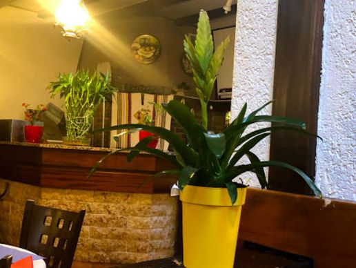 picture of RESTAURATION LE LUSERNA