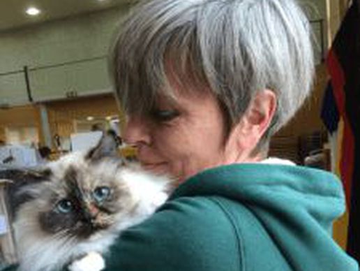 Bild zu Félisitting