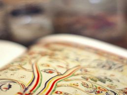 picture of Sinomedica