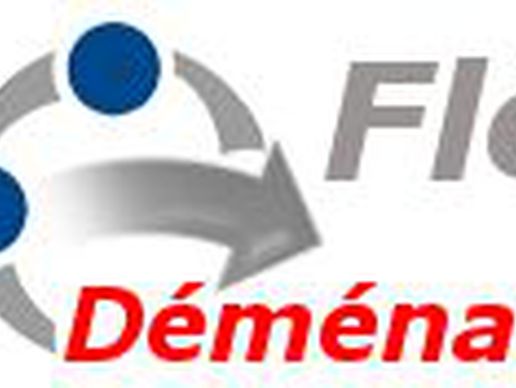 picture of Flèche Déménagement