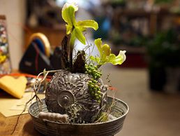 immagine di Le Jardin des Fées